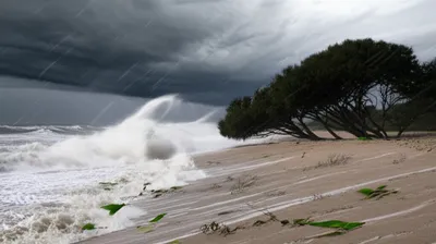 Illustration southwesterly