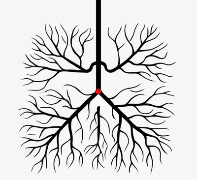 Illustration primary - Image 1