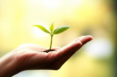 Illustration moms - Image 1