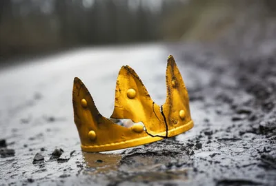 Illustration degrade