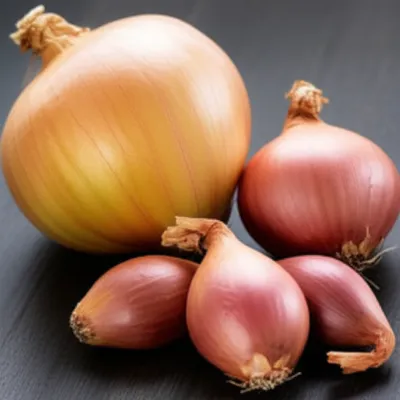Illustration shallots
