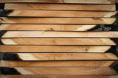 Illustration boule - Image 1