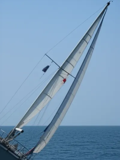 Illustration stayed - Image 1