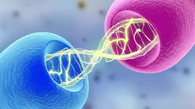 Illustration conjugation - Image 1