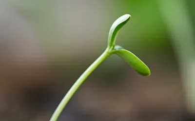 Illustration quaver - Image 1