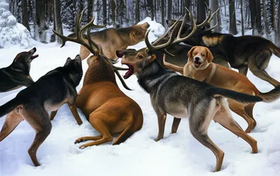 Illustration bay - Image 1