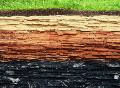 Illustration succession - Image 1