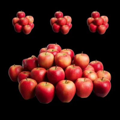 Illustration multiplied - Image 1