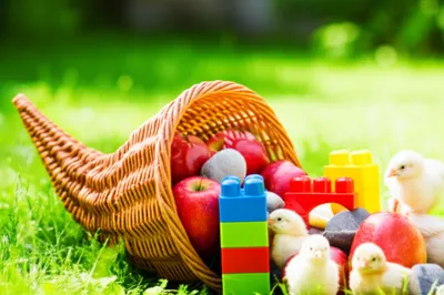 Illustration whole number - Image 1