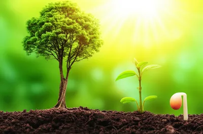 Illustration proved - Image 1