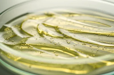 Illustration phlegm - Image 1