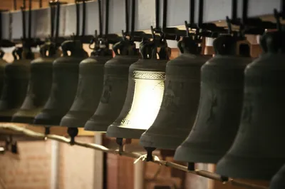 Illustration bobs - Image 1