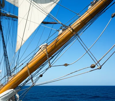 Illustration stays - Image 1