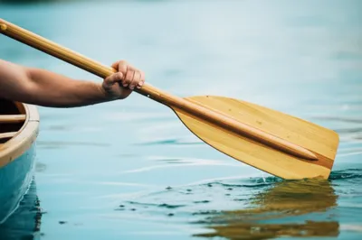 Hình ảnh minh họa paddles - Ảnh 1