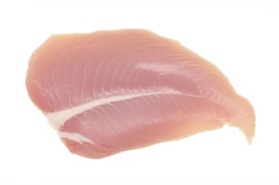 Illustration scallop - Image 1