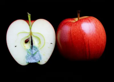 Hình ảnh minh họa corruption - Ảnh 1