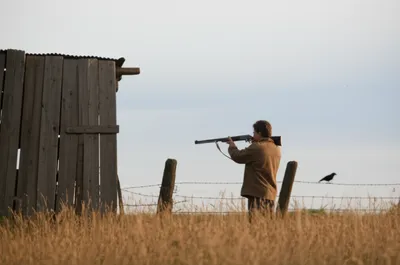 Illustration pots - Image 1