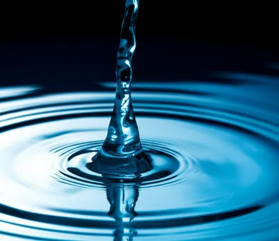 Illustration squirt - Image 1