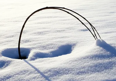 Illustration unbend - Image 1