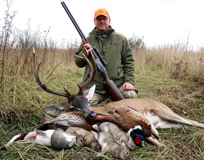 Hình ảnh minh họa bags - Ảnh 1