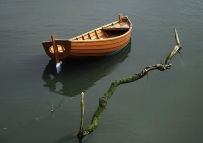 Illustration snag - Image 1