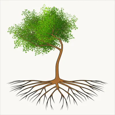 Illustration enable - Image 1