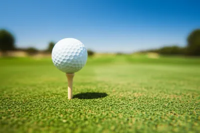 Illustration tees - Image 1