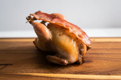 Illustration bards - Image 1