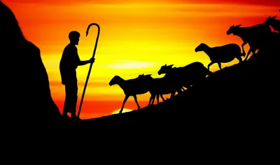 Illustration steering - Image 1