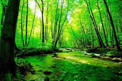 Illustration unburned