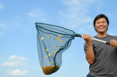 Illustration pots - Image 1