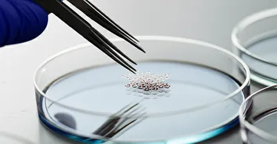 Illustration frogged - Image 1