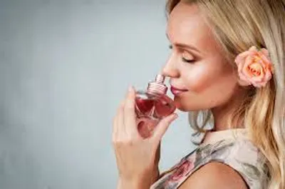 Illustration fragrance - Image 2