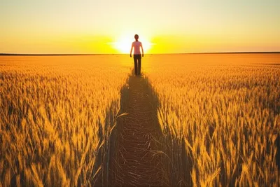 Illustration trench - Image 1