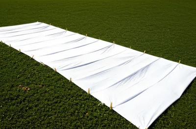 Illustration grass - Image 1