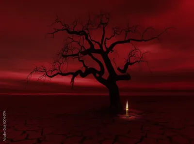 Illustration darkest - Image 1