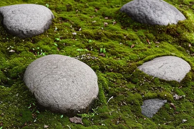 Illustration rest - Image 1