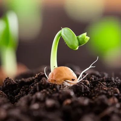 Illustration setting - Image 1