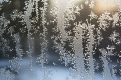 Illustration rime - Image 1