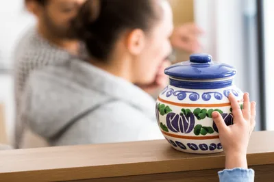 Illustration disobey - Image 1