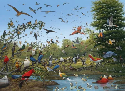 Illustration birdlife - Image 1