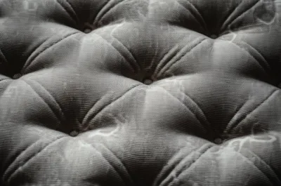 Illustration tufted - Image 1