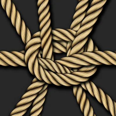 Illustration knot - Image 1