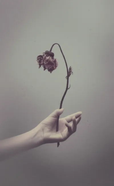 Illustration contractions - Image 1