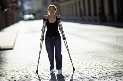 Illustration lop - Image 1