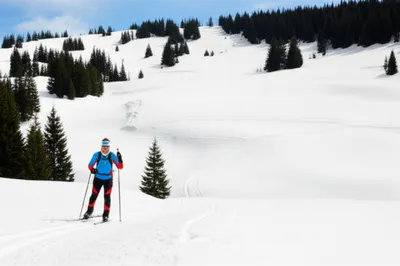 Illustration nordic - Image 1