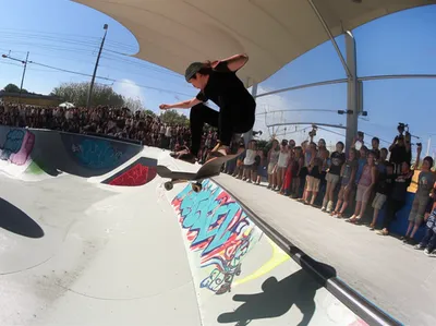 Illustration trick - Image 1