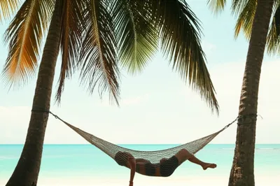 Illustration relaxes - Image 1