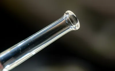 Illustration stem - Image 1