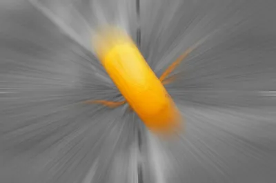 Illustration peel - Image 1